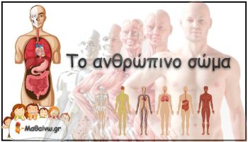 Διακοσμητική εικόνα