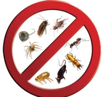 Διακοσμητική εικόνα