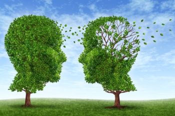 Διακοσμητική εικόνα