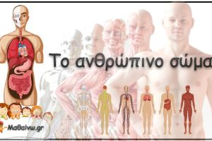 Διακοσμητική εικόνα
